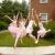 County Ballet Dancers Performing at the Strawberry Festival 2009